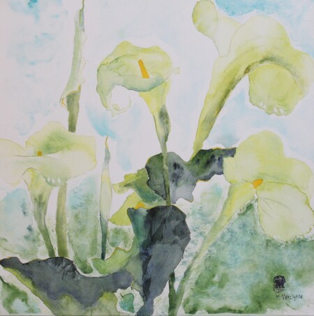 Ref: A492-Les arums aiment la lumi&egrave;re-Aquarelle:40x40-Arches-300�